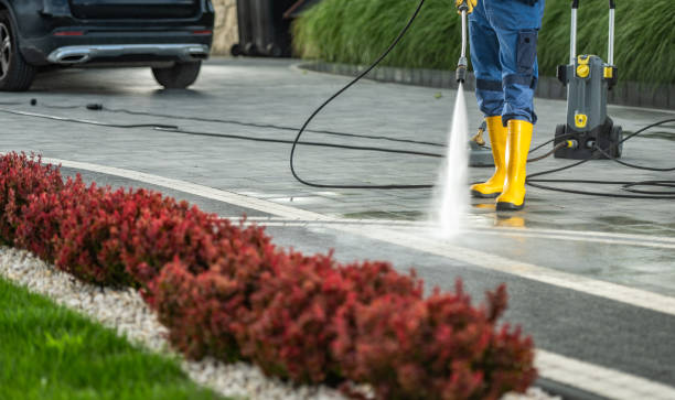 Best Roof Pressure Washing  in Ringgold, LA
